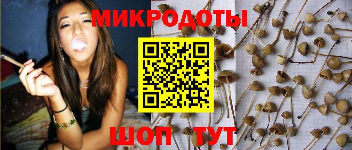 Нарткала  Псилоцибиновые грибы мицелий  Вход с VPN 