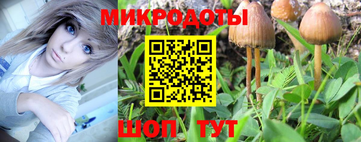 Галлюциногенные грибы прущие грибы Нарткала